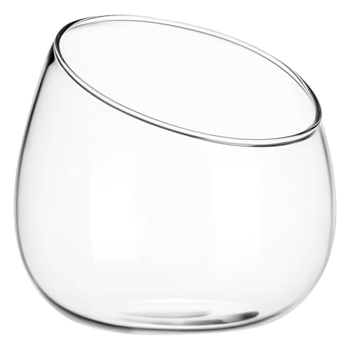 Vaguelly Klare, schräg geschnittene Blasenschale, Fischschale, Terrarium, Bonbonglas, schräg geschnittene Kugelvase, runde Blumenvase für Pflanzen, Sukkulenten, Luftpflanze, 13,5 cm von Vaguelly