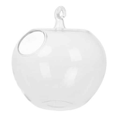 Vaguelly Sukkulenten- -kit Bausatz Selber Machen Ornament Display Stand Glas Transparent von Vaguelly
