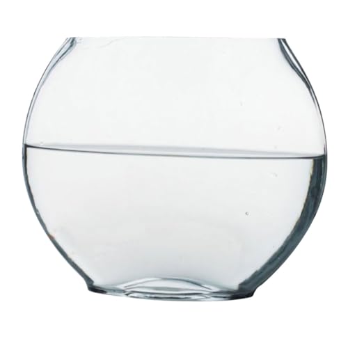 Vaguelly Transparentes Aquarium Mit Elegantem Design Dekorative Blumenvase Für Mikro Landschaften Für Fische Und Wasserpflanzen Tischdekor Für Zuhause von Vaguelly