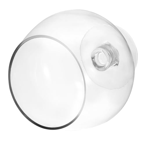 Vaguelly Weinglas-Aquarium Panzer Aquarium Fischbecken Klein Dekoratives Betta-Becken Fischbecken Und Aquarien Dekoratives Aquariumbecken Fischbecken Aus Glas Fischzubehör Transparent von Vaguelly