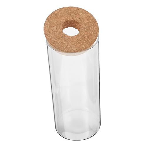 Vaguelly hydroponische Pflanzenvase Desktop Mikro Pflanzenterrarium Anlage tragbar wohnzimmerdeko Indoor Plants terrarien einmachgläser ökologische Flasche leeres Terrarium Glas Transparent von Vaguelly