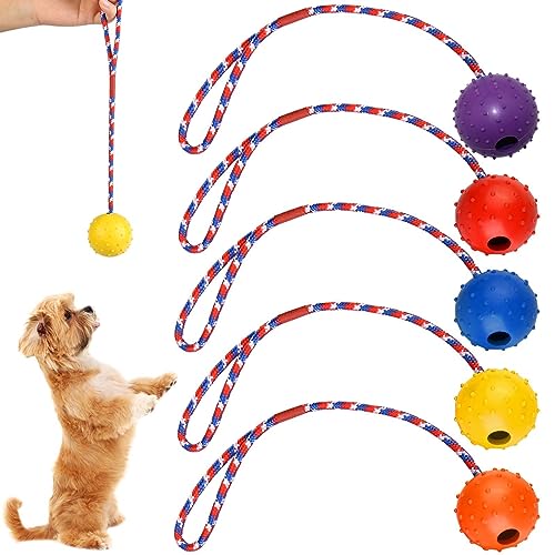 Vaileal 5 Stück Wurfball Hund Hundespielzeug: Hundeball mit Schnur, Naturkautschuk Wurfball, Wurfball mit Seil, Weich und Elastisch, Wurfball mit Seil für Große & Kleine Hunde Weite Würfe Fangen von Vaileal