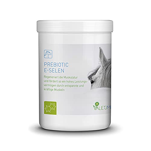 Valetumed PREBIOTIC E-SELEN, 750 g, Ergänzungsfutter für Pferde, regeneriert die Muskulatur, fördert das Leistungsvermögen durch entspannte Muskeln, von Pferdekliniken und Tierärzten empfohlen von Valetumed