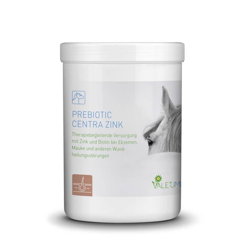 Valetumed Prebiotic Centra Zink 750g Bei Wundheilungsstörungen Valetumed Prebiotic Centra Zink 750g Bei Wundheilungsstörungen von Valetumed