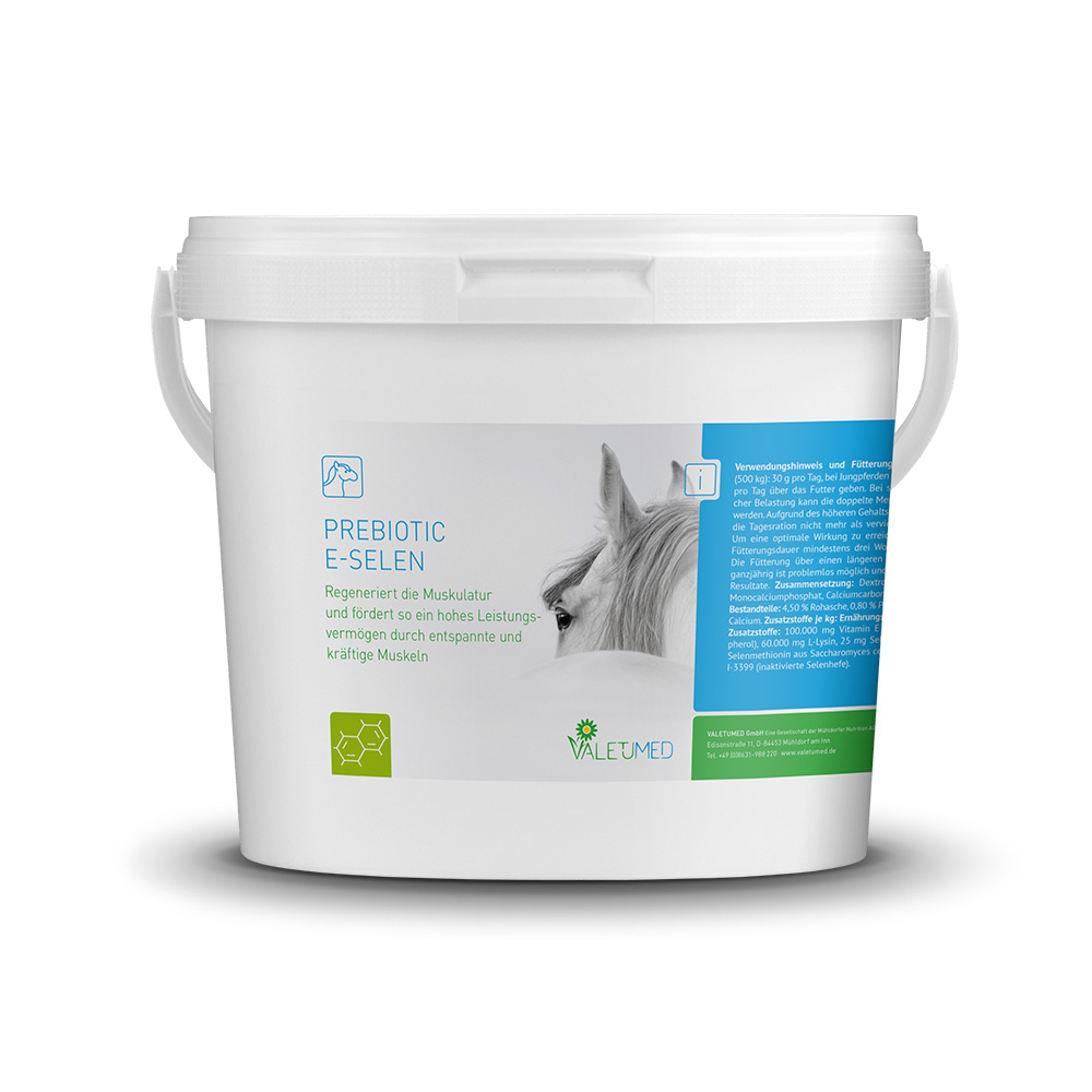 Valetumed Prebiotic E-Selen 3 kg Unterstützung der Muskelregeneration Valetumed Prebiotic E-Selen 3 kg Unterstützung der Muskelregeneration von Valetumed