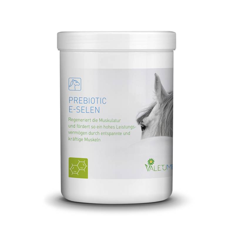 Valetumed Prebiotic E-Selen 750g Unterstützung der Muskelregeneration Valetumed Prebiotic E-Selen 750g Unterstützung der Muskelregeneration von Valetumed