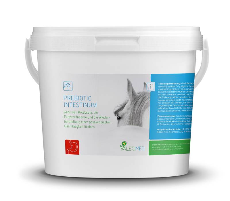 Valetumed Prebiotic Intestinum 2,5kg Bei Darmproblemen Valetumed Prebiotic Intestinum 2,5kg Bei Darmproblemen von Valetumed