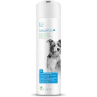 Valetumed Shampoo EC, 2x 250ml von Valetumed