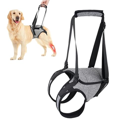 Valicaer Hundegeschirr für Rücken und Beine, verstellbares Stützgeschirr für Behinderte, große, mittelgroße und verletzte Hunde, Hinterbeinbandage, Gehhilfe und nach ACL-Operationen, Rehabilitation Valicaer Hundegeschirr für Rücken und Beine, verstellbares Stützgeschirr für Behinderte, große, mittelgroße und verletzte Hunde, Hinterbeinbandage, Gehhilfe und nach ACL-Operationen, Rehabilitation von Valicaer