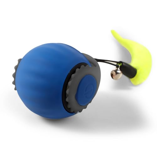 VALINK Interaktiver Katzenspielzeugball, wiederaufladbarer selbstrollender Ball, Katzenspielzeug mit Glocken, elektrisch, automatisches Katzenspielzeug für Indoor-Katzen, Blau VALINK Interaktiver Katzenspielzeugball, wiederaufladbarer selbstrollender Ball, Katzenspielzeug mit Glocken, elektrisch, automatisches Katzenspielzeug für Indoor-Katzen, Blau von Valink