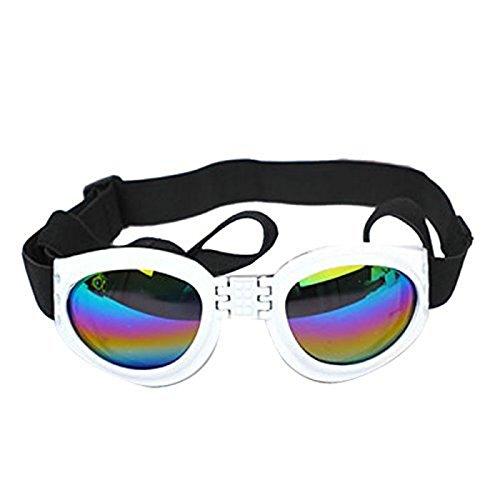 Wasserdicht Mehrfarbig Small Pet Hunde Sonnenbrille Augenschutz Brillen klein... Wasserdicht Mehrfarbig Small Pet Hunde Sonnenbrille Augenschutz Brillen klein... von Valink