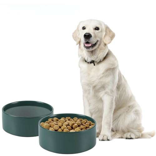 Keramik-Hundenapf für große Hunde, 21,6 cm – 1,7 l, Haustierfutter- und Wassernapf mit Silikonboden, spülmaschinenfest, schützt die Halswirbelsäule, Grün Vallary Keramik-Hundenapf für große Hunde, 21,6 cm – 1,7 l, Haustierfutter- und Wassernapf mit Silikonboden, spülmaschinenfest, schützt die Halswirbelsäule, Grün Vallary von Vallary