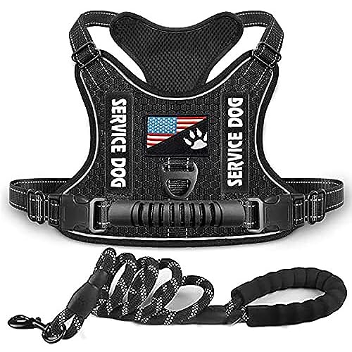 Pet Dog Harness, Safety Harness Set with Dog Leash, Vest Style Reflective Pet Safety Harness Adjustable Explosion Proof Shock Absorbing Harness for Dogs Cats,M,Black von Valman