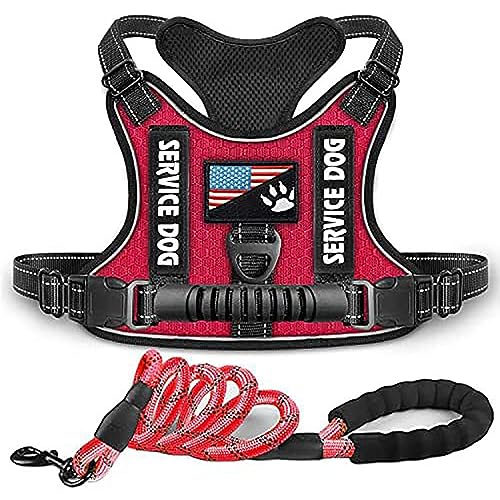 Pet Dog Harness Safety Harness Set with Dog Leash, Vest Style Reflective Pet Safety Harness Adjustable Explosion Proof Shock Absorbing Harness for Dogs Cats,M,Red von Valman