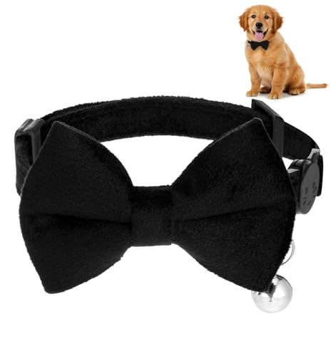 Hundehalsband mit Fliege, weiches Samtmaterial mit Schnellverschluss-Schnalle für kleine Hunde (Schwarz, S) von ValueBargain