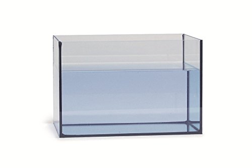 BEEZTEES Vollglas Aquarium 24 Liter 40 x 25 x 25cm #0852040 von Van Riel Distripet