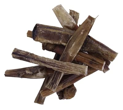 Van der Meer Petsnack Bullepees 10x15 cm - Hundesnack aus 100% Rindfleisch - 10er Pack - Hart getrockneter Stiergenitalien - Zahnpflege - Kauspaß - Ergänzungsfuttermittel für Hunde - 10 Gramm Van der Meer Petsnack Bullepees 10x15 cm - Hundesnack aus 100% Rindfleisch - 10er Pack - Hart getrockneter Stiergenitalien - Zahnpflege - Kauspaß - Ergänzungsfuttermittel für Hunde - 10 Gramm von Van der Meer