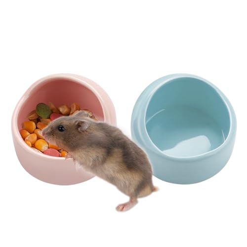 VanEnjoy 2 Stück kleine Hamster-Futternapf aus Keramik, Meerschweinchen, kein Verschütten, Hamsterfutter und Wassernapf, Kleintier-Futternapf für Chinchilla, Igel, Hamster, Rennmäuse, Rosa und Blau VanEnjoy 2 Stück kleine Hamster-Futternapf aus Keramik, Meerschweinchen, kein Verschütten, Hamsterfutter und Wassernapf, Kleintier-Futternapf für Chinchilla, Igel, Hamster, Rennmäuse, Rosa und Blau von VanEnjoy