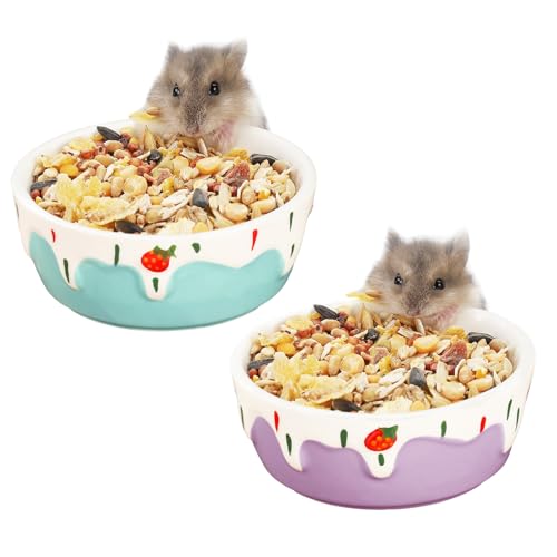 VanEnjoy Hamster-Futterschüssel, klein, Keramik, Wassernapf für Käfig, Kleintierschalen für Hamster, Meerschweinchen, Chinchilla, Kaninchen, Blau und Lila, 2 Stück VanEnjoy Hamster-Futterschüssel, klein, Keramik, Wassernapf für Käfig, Kleintierschalen für Hamster, Meerschweinchen, Chinchilla, Kaninchen, Blau und Lila, 2 Stück von VanEnjoy