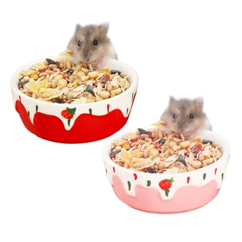 VanEnjoy Hamster-Futterschüssel, klein, Keramik, Wassernapf für Käfig, Kleintierschalen für Hamster, Meerschweinchen, Chinchilla, Kaninchen, Rot und Rosa, 2 Stück VanEnjoy Hamster-Futterschüssel, klein, Keramik, Wassernapf für Käfig, Kleintierschalen für Hamster, Meerschweinchen, Chinchilla, Kaninchen, Rot und Rosa, 2 Stück von VanEnjoy