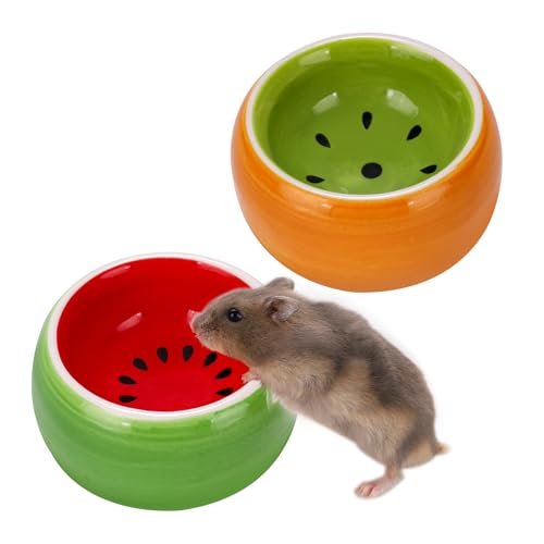 VanEnjoy Keramik-Futterschale für Meerschweinchen, kippsicher, für kleine Haustiere, für Hamster, Kaninchen, Chinchilla, niedlicher Igel, Servierschale für Käfig, 2 Stück VanEnjoy Keramik-Futterschale für Meerschweinchen, kippsicher, für kleine Haustiere, für Hamster, Kaninchen, Chinchilla, niedlicher Igel, Servierschale für Käfig, 2 Stück von VanEnjoy