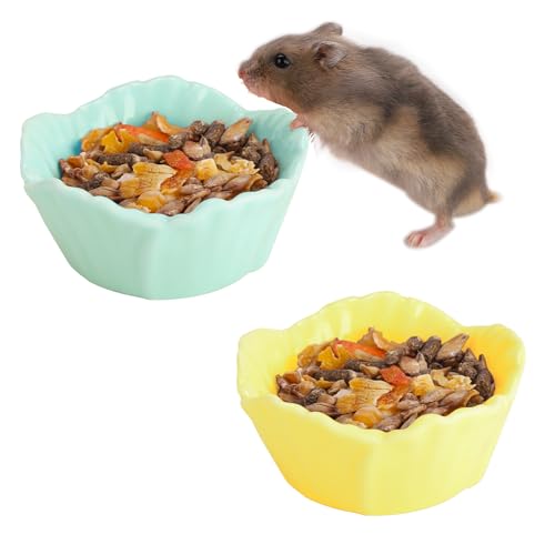 VanEnjoy Keramik-Futterschale für Meerschweinchen, niedliches Blumenmotiv, Hamsterkäfig, Zubehör für Chinchilla, Igel, Gelb und Grün, 2 Stück von VanEnjoy