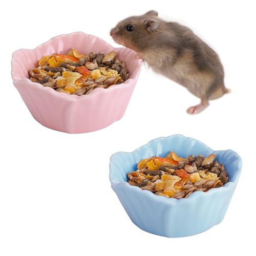 VanEnjoy Keramik-Futterschale für Meerschweinchen, niedliches Blumenmotiv, Hamsterkäfig, Zubehör für Chinchilla, Igel, Rosa und Blau, 2 Stück VanEnjoy Keramik-Futterschale für Meerschweinchen, niedliches Blumenmotiv, Hamsterkäfig, Zubehör für Chinchilla, Igel, Rosa und Blau, 2 Stück von VanEnjoy