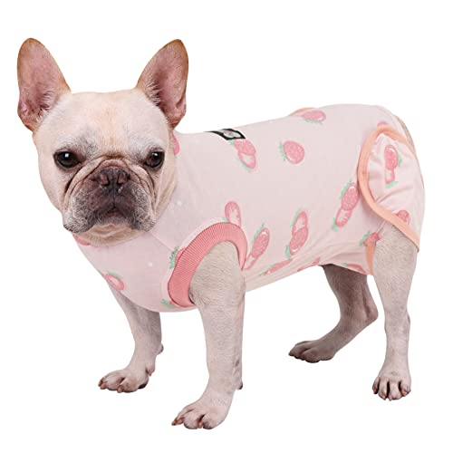 Vanansa Dog Spay Recovery Suit After Operation Suits Light Color Fruit Print Pet Chirurgie Wear Male Neutered Surgery Pets Cone E Collar Alternative (Strawberry-L) von Vanansa
