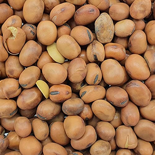 Vanrobaeys Taubenbohnen 25kg von Vanrobaeys
