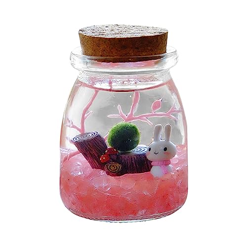 Viewing Experience Aquarium, kreative Mikro-Landschaft, Öko-Flasche, Schreibtisch-Fischtank, als Dekoration, einzigartige Geburtstagsgeschenke (F) von Vansza