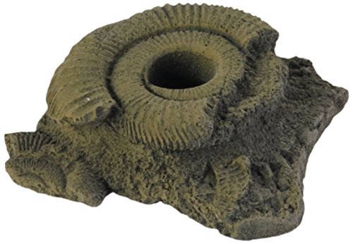 Variogart AQ 1429 Pflanzhilfe 11 Fossilien von Variogart