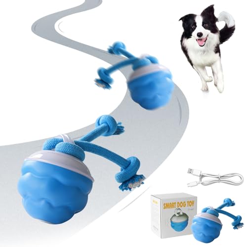 Vartegas Intelligenzspielzeug für Hunde, Interaktives Hundespielzeug Unzerstörbar, Hundeball wiederaufladbar, Hundespielzeug Ball Automatisch Rollender, für Welpen/Kleine/Mittlere Hunde (1pcs) von Vartegas