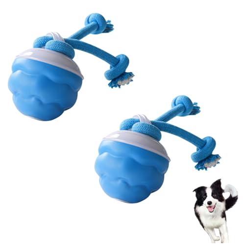 Vartegas Intelligenzspielzeug für Hunde, Interaktives Hundespielzeug Unzerstörbar, Hundeball wiederaufladbar, Hundespielzeug Ball Automatisch Rollender, für Welpen/Kleine/Mittlere Hunde (2pcs) von Vartegas