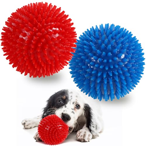 Vatrepeo Hundespielzeug, quietschend, 11,4 cm, 2 Stück, für große Hunde, stacheliger Hundeball für aggressive Kauer, quietschende Bälle für Hundebälle Vatrepeo Hundespielzeug, quietschend, 11,4 cm, 2 Stück, für große Hunde, stacheliger Hundeball für aggressive Kauer, quietschende Bälle für Hundebälle von Vatrepeo