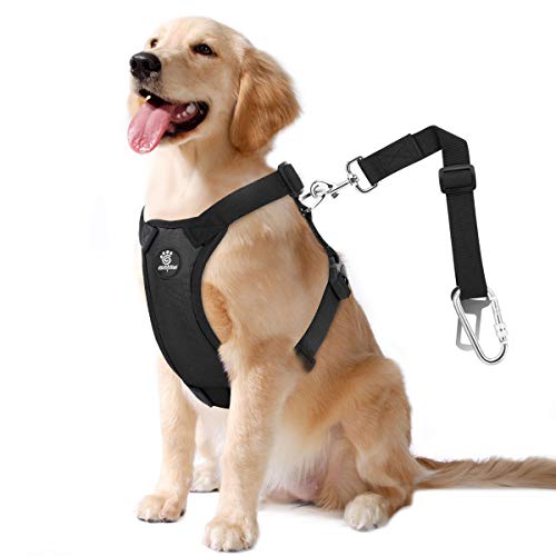 VavoPaw Hunde Autosicherheitsgurt, Hundegeschirr mit Sicherheitsgurt und Schutzgriff, Verstellbar Luftdurchlässig Gittergewebe Material, für Alltäglichen oder Sportlichen Aktivitäten, Groß, Schwarz VavoPaw Hunde Autosicherheitsgurt, Hundegeschirr mit Sicherheitsgurt und Schutzgriff, Verstellbar Luftdurchlässig Gittergewebe Material, für Alltäglichen oder Sportlichen Aktivitäten, Groß, Schwarz von VavoPaw