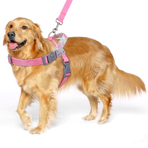 VavoPaw Hundegeschirr und Leine Set, Kein Ziehen Norwegergeschirr für Leichtes Wandern, Verstellbar Geschirr mit Reflektierend Magisch Bändern, Ausbruchsicher Geschirr für große Hunde, Welpen, M Rosa VavoPaw Hundegeschirr und Leine Set, Kein Ziehen Norwegergeschirr für Leichtes Wandern, Verstellbar Geschirr mit Reflektierend Magisch Bändern, Ausbruchsicher Geschirr für große Hunde, Welpen, M Rosa von VavoPaw