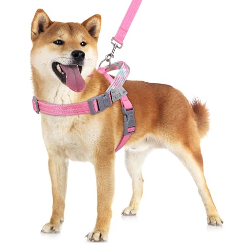 VavoPaw Hundegeschirr und Leine Set, Kein Ziehen Norwegergeschirr für Leichtes Wandern, Verstellbar Geschirr mit Reflektierend Magisch Bändern, Ausbruchsicher Geschirr für Klein Hunde, Welpen, S Rosa VavoPaw Hundegeschirr und Leine Set, Kein Ziehen Norwegergeschirr für Leichtes Wandern, Verstellbar Geschirr mit Reflektierend Magisch Bändern, Ausbruchsicher Geschirr für Klein Hunde, Welpen, S Rosa von VavoPaw