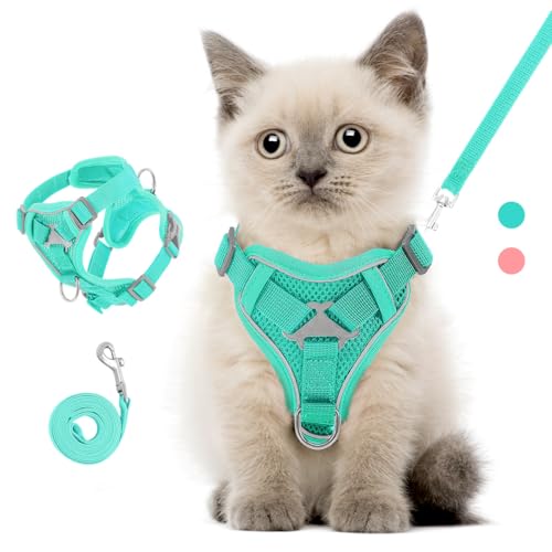 VavoPaw Katzengeschirr mit Leine Ausbruchsicher, Verstellbar Katze Brustgeschirr mit Reflektierend Streifen & Atmungsaktiv Netzgewebe, Weich Haustier Geschirr für Katzen Kätzchen Welpen, S, Blau VavoPaw Katzengeschirr mit Leine Ausbruchsicher, Verstellbar Katze Brustgeschirr mit Reflektierend Streifen & Atmungsaktiv Netzgewebe, Weich Haustier Geschirr für Katzen Kätzchen Welpen, S, Blau von VavoPaw
