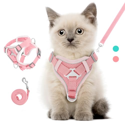 VavoPaw Katzengeschirr mit Leine Ausbruchsicher, Verstellbar Katze Brustgeschirr mit Reflektierend Streifen & Atmungsaktiv Netzgewebe, Weich Haustier Geschirr für Katzen Kätzchen Welpen, S, Rosa VavoPaw Katzengeschirr mit Leine Ausbruchsicher, Verstellbar Katze Brustgeschirr mit Reflektierend Streifen & Atmungsaktiv Netzgewebe, Weich Haustier Geschirr für Katzen Kätzchen Welpen, S, Rosa von VavoPaw