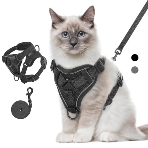 VavoPaw Katzengeschirr und Leine Set für Spaziergänge, Einstellbar Kätzchen Weste Geschirr mit Reflektierend Streif, Flucht Beweis Haustier Sicherheitsweste für Katzen, Welpen, M, Schwarz VavoPaw Katzengeschirr und Leine Set für Spaziergänge, Einstellbar Kätzchen Weste Geschirr mit Reflektierend Streif, Flucht Beweis Haustier Sicherheitsweste für Katzen, Welpen, M, Schwarz von VavoPaw