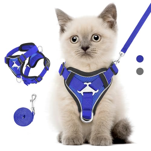 VavoPaw Katzengeschirr und Leine Set für Spaziergänge, Einstellbar Kätzchen Weste Geschirr mit Reflektierend Streif, Flucht Beweis Haustier Sicherheitsweste für Katzen, Welpen, S, Königblau von VavoPaw