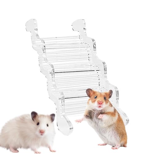Vbnuyhim Hamstertreppe | Acryl Kletterleiter mit klarem Design - Haustier Lebensraum Spaß Käfig Zubehör Maus Hamster Möbel Hamsterhaus Vbnuyhim Hamstertreppe | Acryl Kletterleiter mit klarem Design - Haustier Lebensraum Spaß Käfig Zubehör Maus Hamster Möbel Hamsterhaus von Vbnuyhim