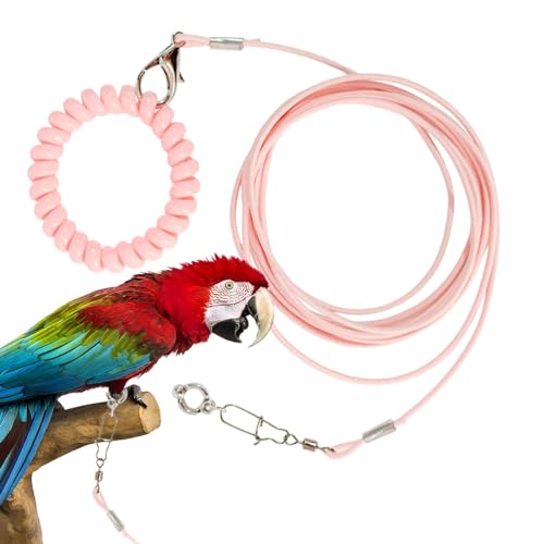 Vbnuyhim Vogelfliegeseil – leichtes Papageienseil für Outdoor-Fliegen, verhindert das Entkommen von Haustier-Trainingsspielzeug mit Handgelenkring für Par , Ausflüge, Hof, Garten Vbnuyhim Vogelfliegeseil – leichtes Papageienseil für Outdoor-Fliegen, verhindert das Entkommen von Haustier-Trainingsspielzeug mit Handgelenkring für Par , Ausflüge, Hof, Garten von Vbnuyhim