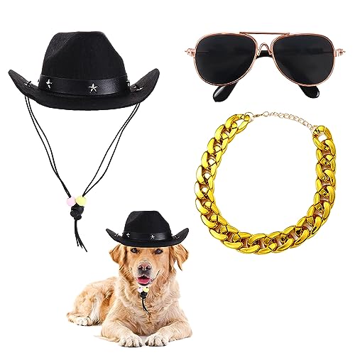 3-teiliges Haustier-Kostüm-Set für Hunde und Katzen - 1 x Haustier-Sonnenbrille, 1 x Western-Cowboyhut, 1 x Goldkette, Cosplay-Kostüm, Foto-Requisiten für kleine Hunde und Katzen von Vctitil