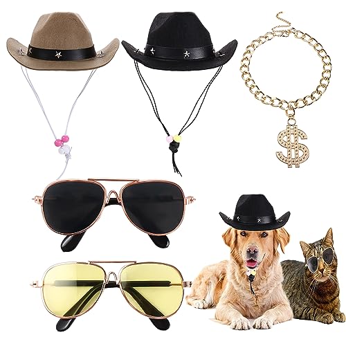 5-teiliges Haustier-Kostüm-Set für Hunde und Katzen, 2 Sonnenbrillen, 2 Western-Cowboyhut, 1 Golddollar-Metallkette, Cosplay-Kostüm, Foto-Requisiten für kleine Hunde und Katzen von Vctitil