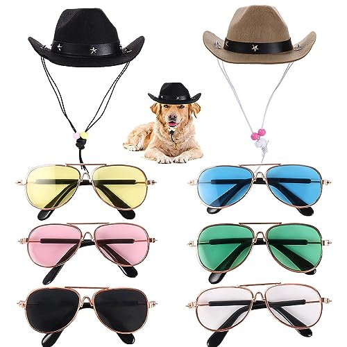 8-teiliges Haustier-Kostüm-Set für Hunde und Katzen, 6 Sonnenbrillen, 2 Western-Cowboyhut, Cosplay-Kostüm, Foto-Requisiten für kleine Hunde und Katzen von Vctitil