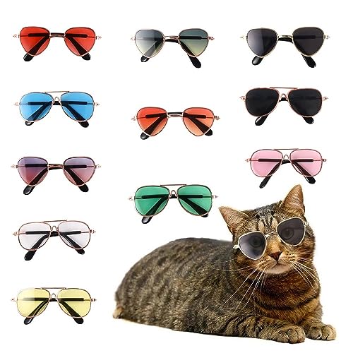 Vctitil 11 Stücke Hund Katze Sonnenbrille Reflexion Haustier Brille Foto Requisiten Eyewear Multicolor Cosplay Brille Puppen Sonnenbrille Haustier Zubehör von Vctitil