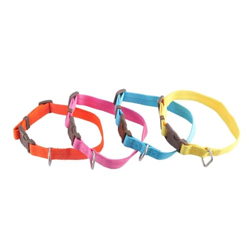 Vctitil 4-teiliges Katzen- und Hundehalsband-Set, Größe L, Halsband, Sicherheits-Halsbänder, Haustierzubehör für Katzen und kleine Hunde, Haustiere von Vctitil