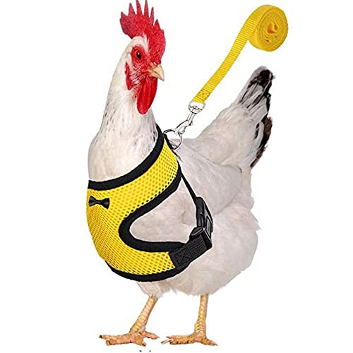 Vctitil Hühner-Geschirr und Leine für Hennen-Hähne, bequeme Henne-Haustierweste mit passendem Gürtel, Entengeschirr-Set für Gänsetraining, Spaziergänge von Vctitil