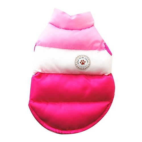Vdaxvme Warme Hundekleidung für kleine Hunde, winddichte Jacken, Haustierkleidung für Kätzchen, Outdoor, Spazierengehen, Kostüm, Mantel, Winter Vdaxvme Warme Hundekleidung für kleine Hunde, winddichte Jacken, Haustierkleidung für Kätzchen, Outdoor, Spazierengehen, Kostüm, Mantel, Winter von Vdaxvme